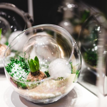 免费ddos在线攻击